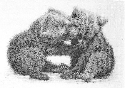 Brown Bear Cubs