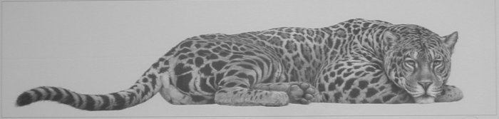 Jaguar (landscape)