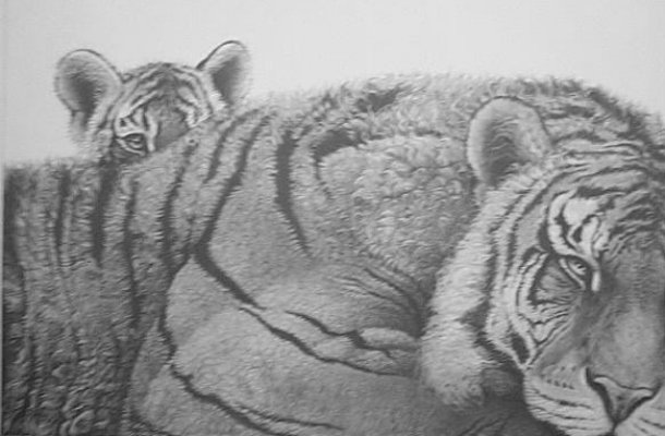 Pride and Joy (Tigress and cub)