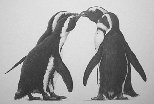 Jackass Penguin Group