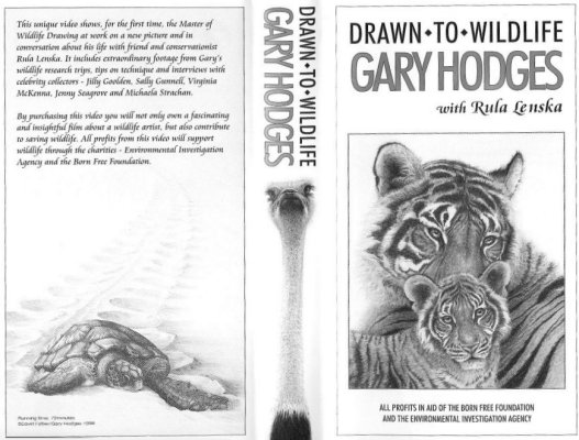 Drawn To Wildlife Video