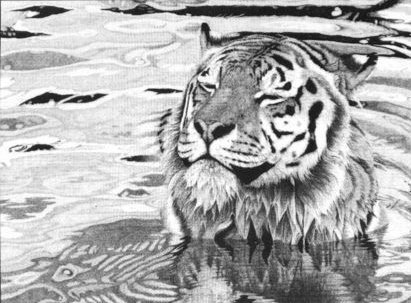Clive Meredith - Cool Contentment - Siberian Tiger
