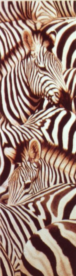 John Mould - Face To Face: Zebra